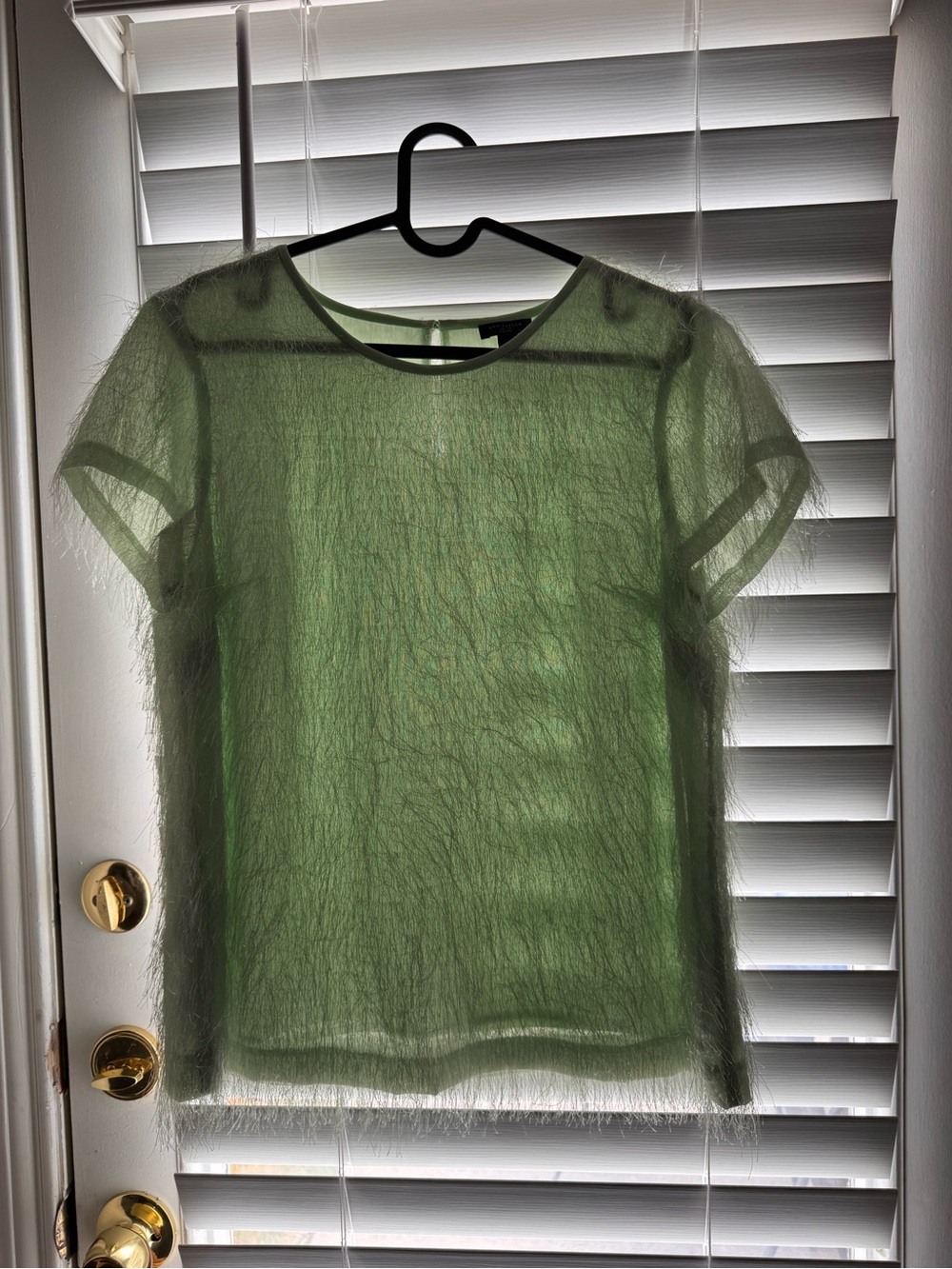 Ann Taylor Sheer Fuzzy Short-Sleeve Top in Light Green